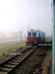 Imagine atasata: Automotor malaxa clasa 77 pe linia 2 abatuta a Statiei CF Garbovi, 16.11.2012.jpg